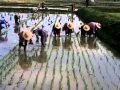 Exploring the Cultures of Southeast Asia