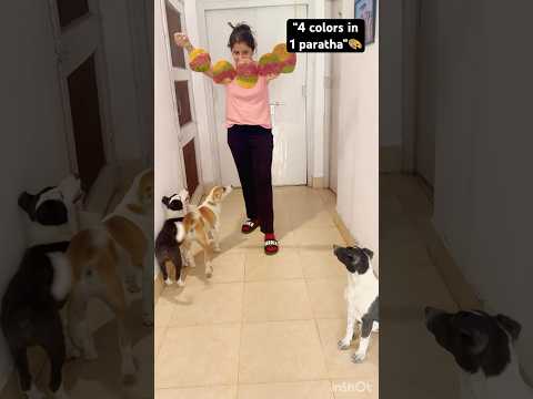 Holi special paratha ke peeche huyi ladai🥲#shorts #explore #funny #beagle #video #holi#viralshort