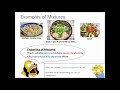 Elements, Compounds, and Mixtures Explained
