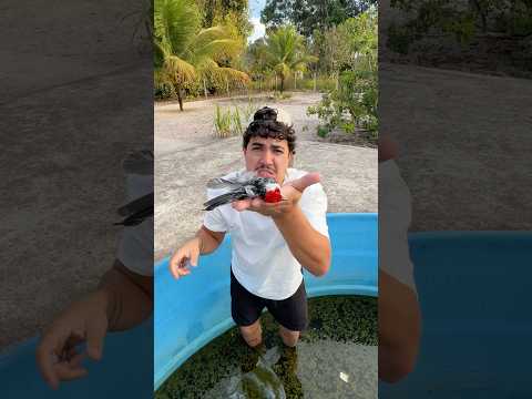 ELE CAIU NA MINHA PISCINA DE CHERNOBYL!🙏 #shorts