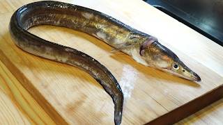 高級魚ハモをご家庭で極上フライに！プロ直伝の捌き方・骨切りの全テクニック