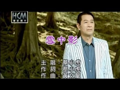 蔡小虎-雪中影(官方KTV版)