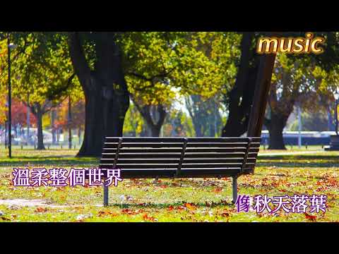 在你的身邊KTV 伴奏 no vocal 無人聲 music 純音樂 karaoke 卡拉OK 伴唱在你的身邊