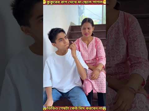 খাবার🍲নিয়ে🐶কুকুরের😁লড়াই | Dog fighting over food | #shorts #youtubeshorts #mondaltek