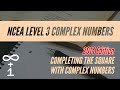 Complex Numbers and Factorization