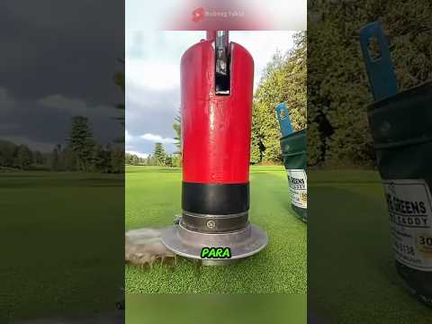Fakta lapangan golf