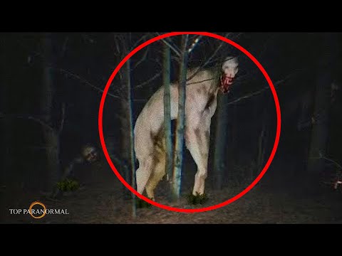 5 Encuentros Más Aterradores Captados en Cámara Parte 4 / Fantasmas y Criaturas / TERROR REAL 2024