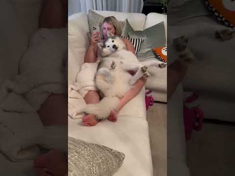 Fluffski The Couchcloud
