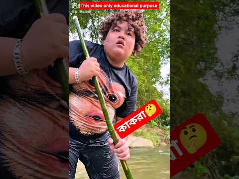 Two brothers were bitten on the leg by a crab while fishing in the river.