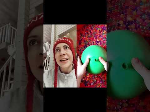 У вам есть домашние животные?🐍🦒