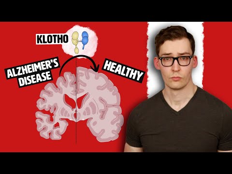 Unique Neuroprotective Effect of Klotho and How to Increase it Naturally