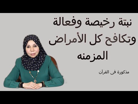 نبتة رخيصة وفعالةوتكافح كل الأمراض المزمنه