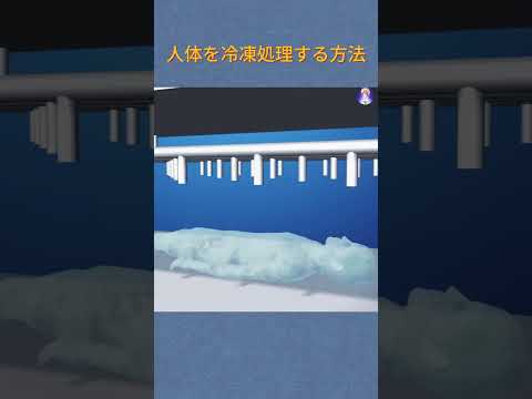 人体を冷凍処理する方法
