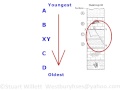 Geological Principles and Rock Layers
