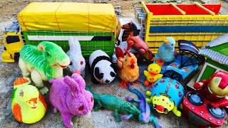 Menemukan Ikan Hias Warna Warni, Ayam Lucu, Ikan Koi, Kura Kura Asli, Bebek, Buaya, Dinosaurus