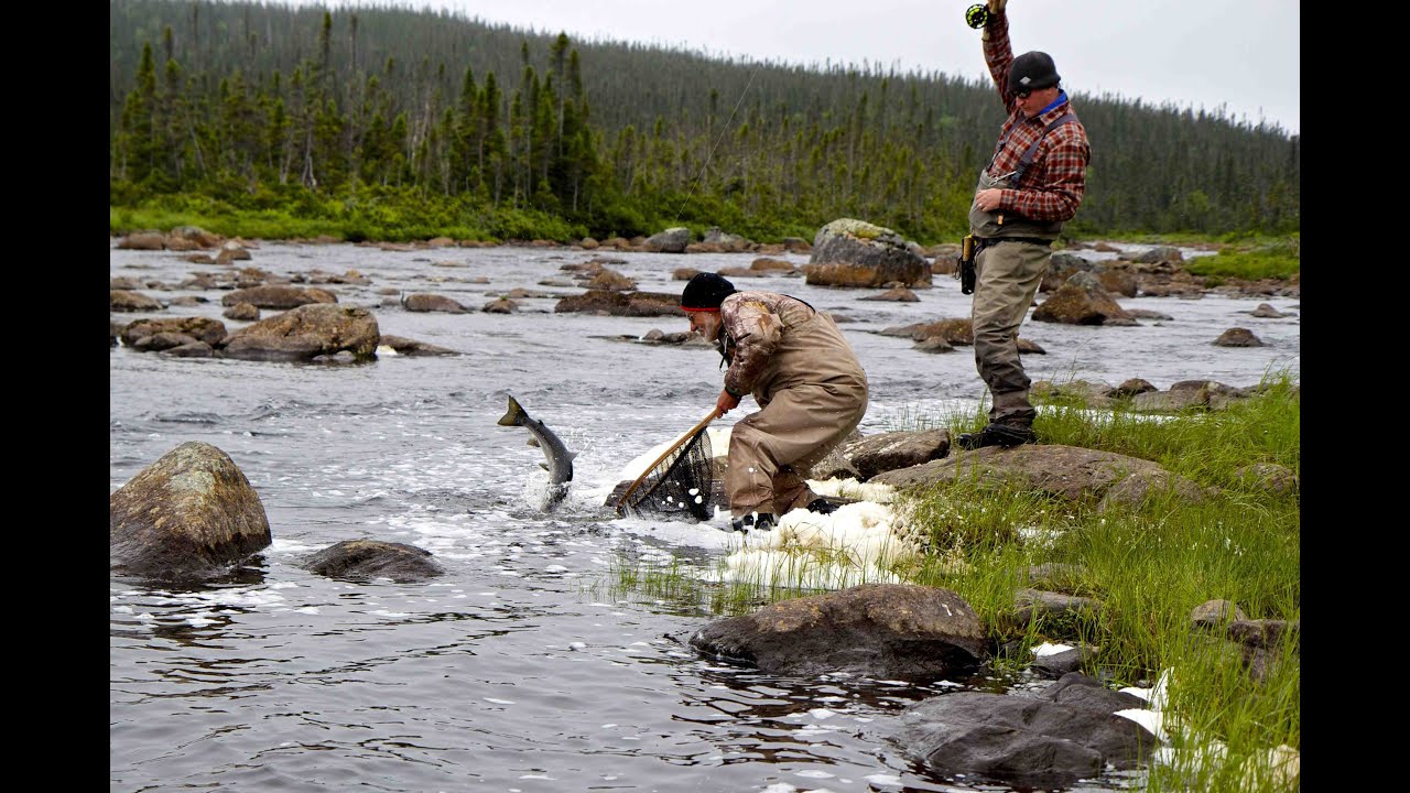 Atlantic Salmon Dry Fly Fantasy - Arluk Outfitters Newfoundland - The New Fly Fisher