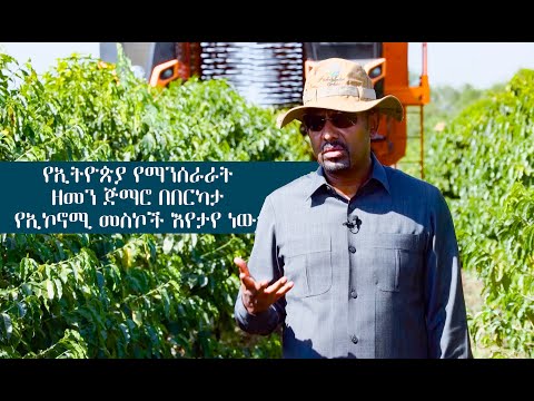 የኢትዮጵያ የማንሰራራት ዘመን ጅማሮ በበርካታ የኢኮኖሚ መስኮች እየታየ ነው።