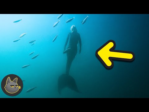 10 Criaturas Míticas Que Podrían Ser Reales
