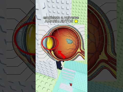 El Mundo Se Está Volviendo Gris… Y No Es Tu Imaginación 🎨