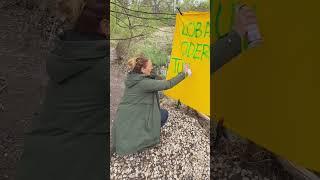 Lobau oder Tunnel?