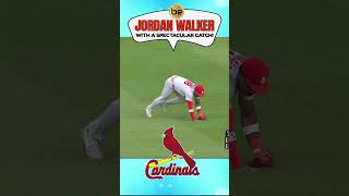 Yes Sir,... It's A Terrific Sliding Catch By Jordan Walker‼️2026 MLB