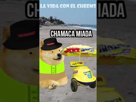 ME PERDÍ en una PLAYA y casi me MUER0 #shorts