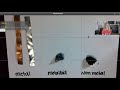 Exploring Metals, Nonmetals, and Metalloids in the Periodic Table