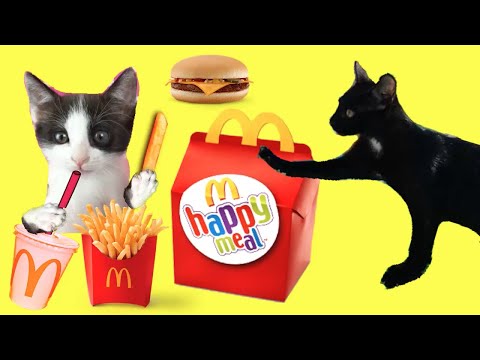 Mcdonalds Happy Meal Drive Thru con mis gatitos bebés Luna y Estrella / Funny cats