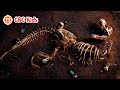 Earth's Climate and Dinosaurs' Extinction