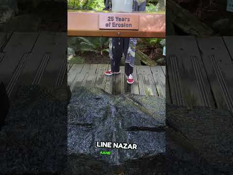 #shortvideo