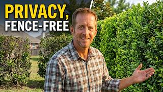 9 Plants I'll ALWAYS Use for Privacy (No Fence Needed)