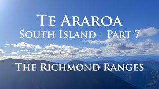 Te Araroa - South Island NOBO (part 7) - The Richmond Ranges