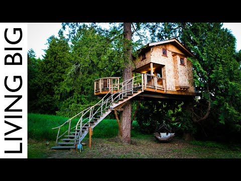 Life In The Trees With The Treehouse Masters