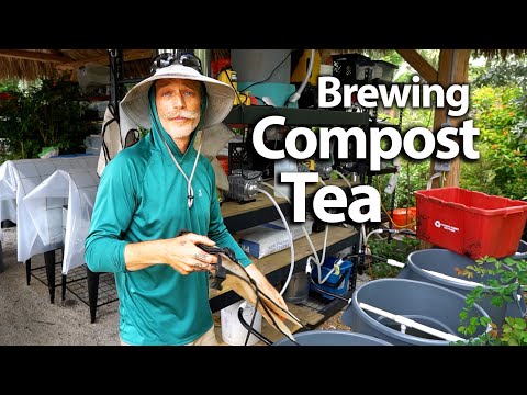 The Art of Brewing Compost Tea For A FL Permaculture Farm| Pt 2