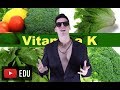 Understanding the Video Tutorial