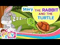 The Tortoise and the Hare Analysis