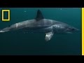Understanding and Filmmaking with Joe Romero
