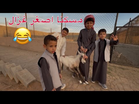 دخلنا مزرعة حيونات 😍