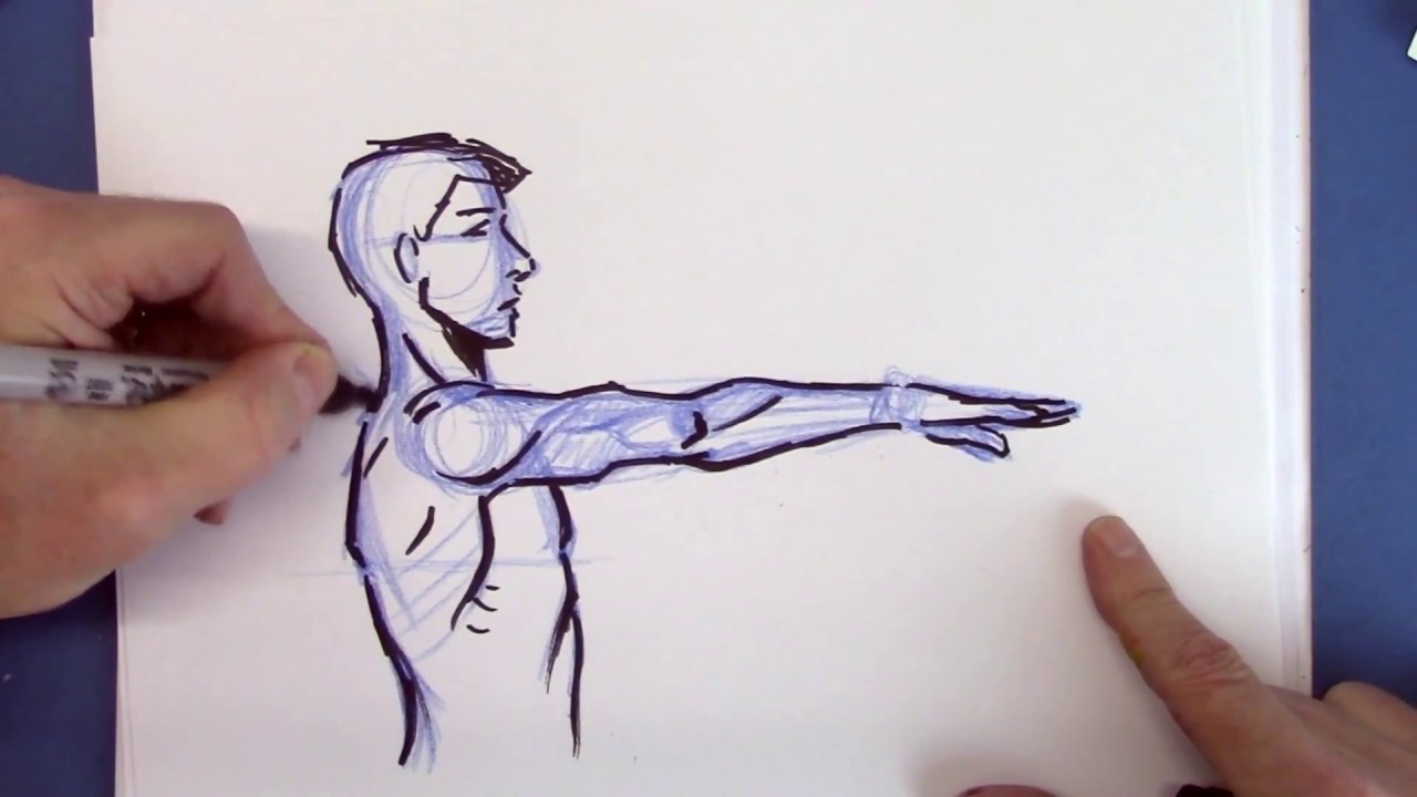 How to Draw Arm Muscles - Christopher Hart