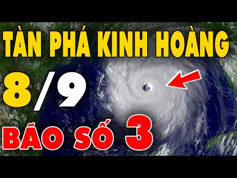 ? TIN BÃO KHẨN CẤP: Bão số 3 Yagi “càn quét kinh hoàng” làm 4 người chết, 78 người bị thương