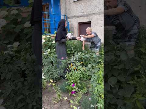 🔹Неожиданная находка в цветнике❗️
