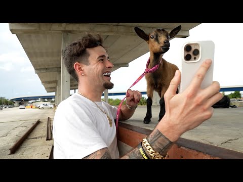 I Put A G.O.A.T. In A Music Video!