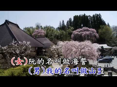 徐紫淇 沈建豪-將咱的名寫作伙-KTV