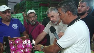 تونس تنتج غلالا نادرة ومربحة وتزرع في كل مكان ..تعرف على تفاصيلها !!