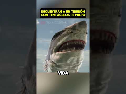 Encuentran un tiburón con tentáculos de pulpo 😱 #shorts #viral #pelicula