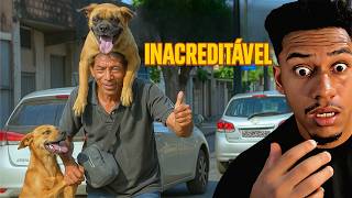 QUANDO O DOG É SEU MELHOR AMIGO 🐕😂 - TENTE NÃO RIR COM OS VÍDEOS ENGRAÇADOS DA SEMANA