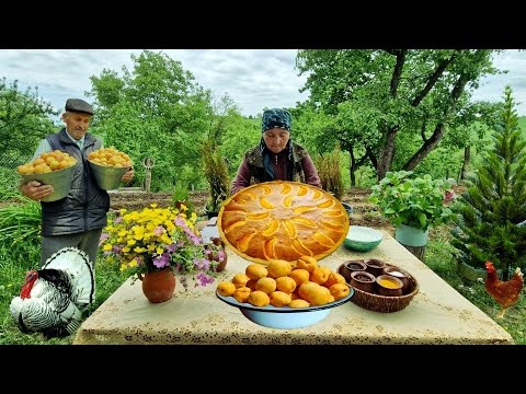 Бабушка и дедушка собрали абрикосы, испекли пирог и сварили компот — вкусно и по-домашнему!🥧