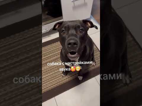 С настройками звука