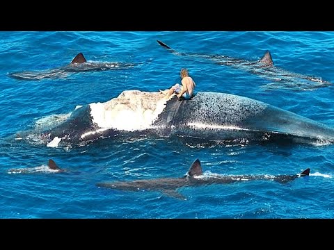 7 MOMENTOS INACREDITÁVEIS GRAVADOS NO MAR