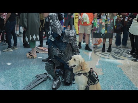 Darksouls Artorias makes new friends @ Anime Expo 2025